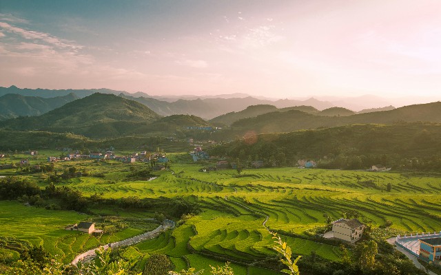 拼多多补单软件