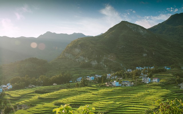 拼多多补单软件