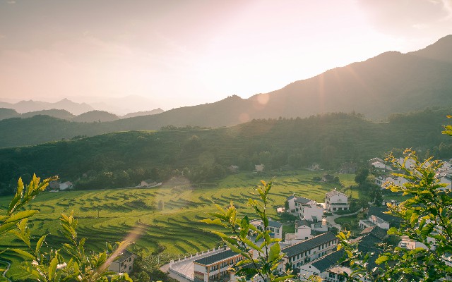 拼多多补单软件