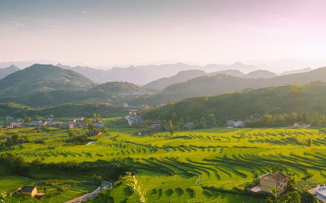 拼多多补单软件