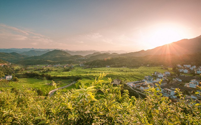 拼多多补单软件