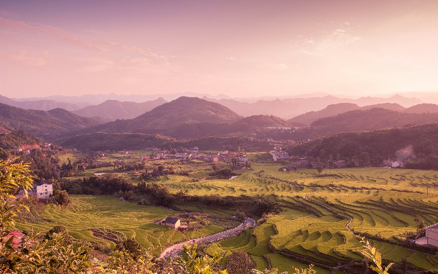 拼多多补单软件