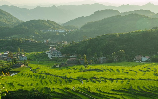 拼多多补单软件