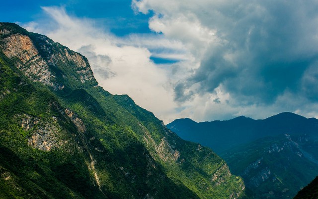 拼多多补单软件