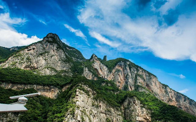 拼多多补单软件