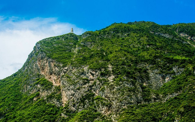 拼多多补单软件