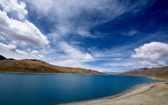 拼多多补单软件