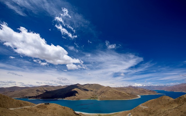 拼多多补单软件