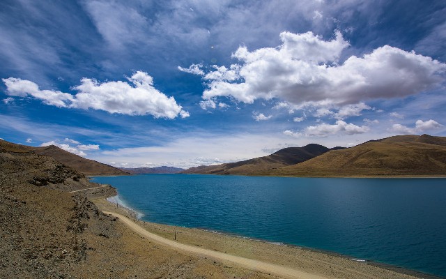 拼多多补单软件