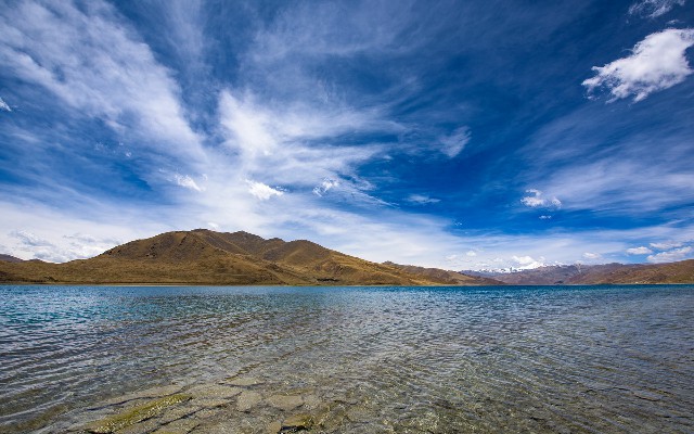 拼多多补单软件