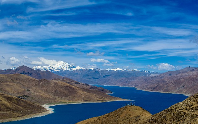 拼多多补单软件