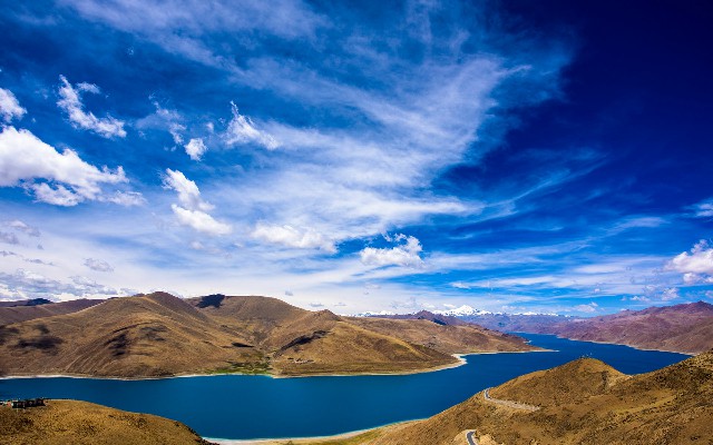 拼多多补单软件