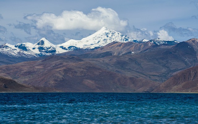 拼多多补单软件