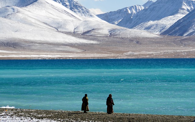 拼多多补单软件