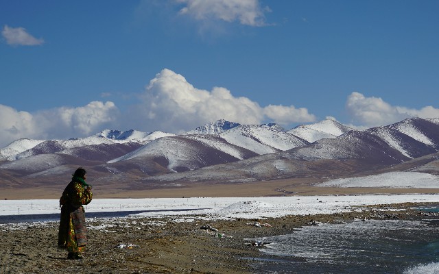 拼多多补单软件