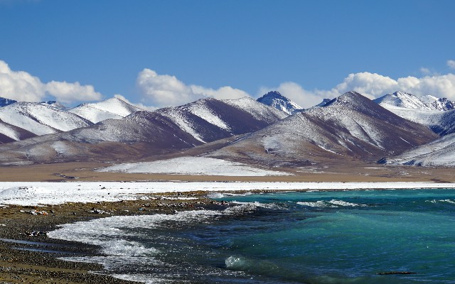 拼多多补单软件