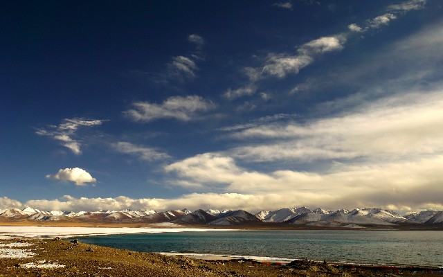 拼多多补单软件