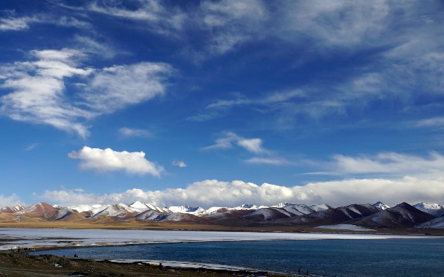 拼多多补单软件