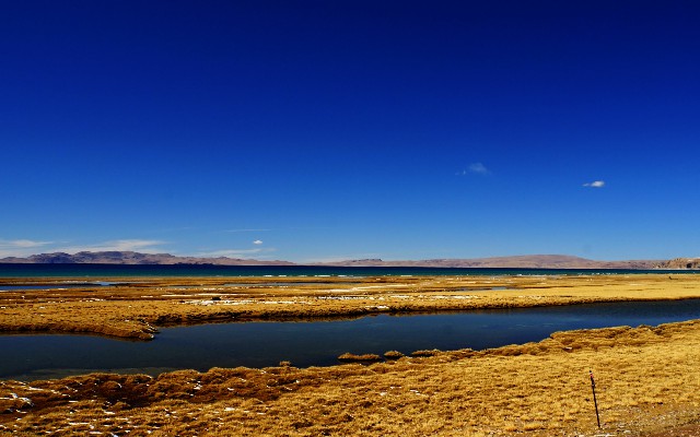 拼多多补单软件