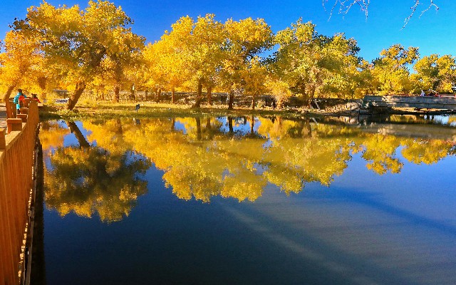 拼多多补单软件