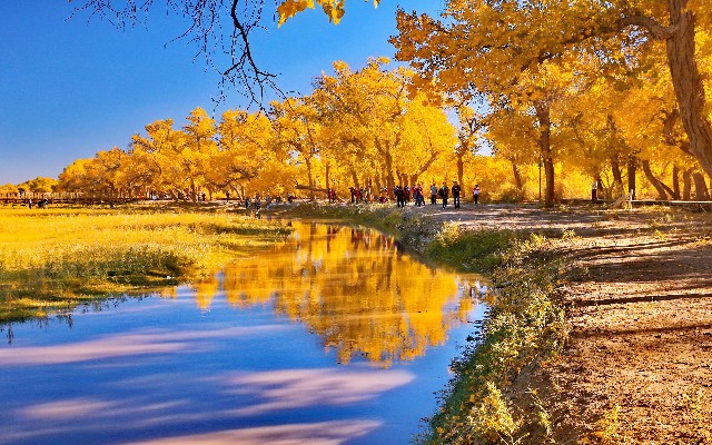 拼多多补单软件