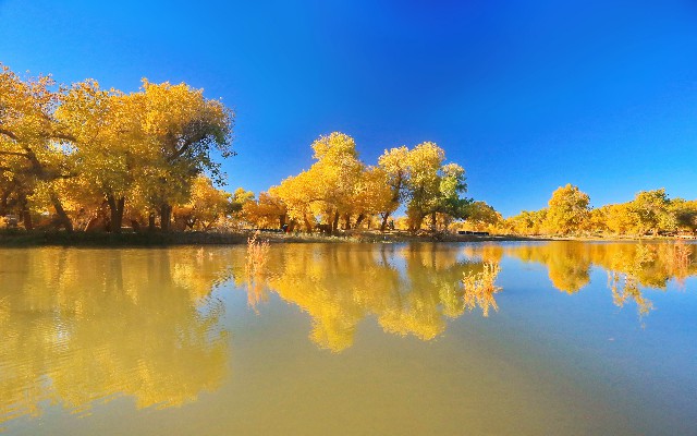 拼多多补单软件