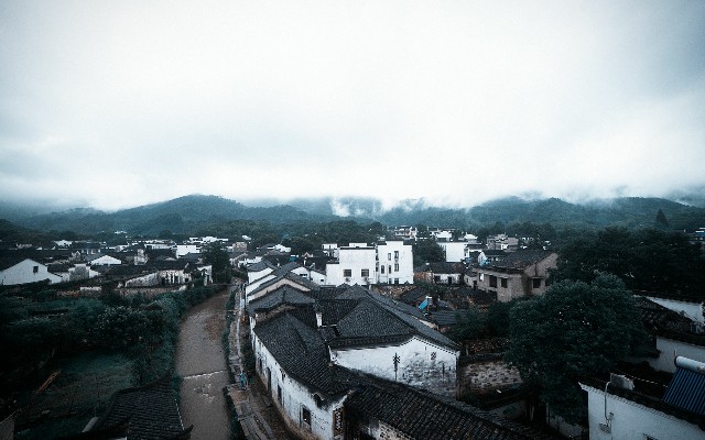 拼多多补单软件