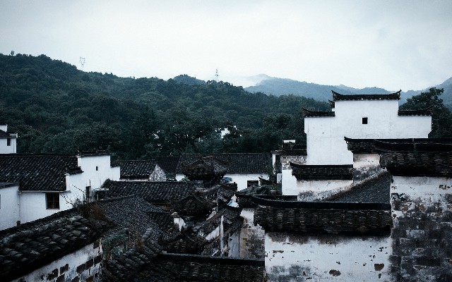 拼多多补单软件