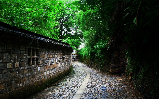 拼多多补单软件