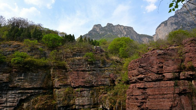 拼多多补单软件