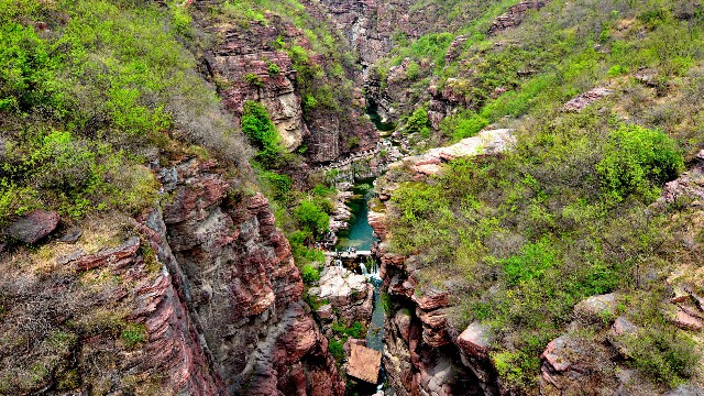 拼多多补单软件