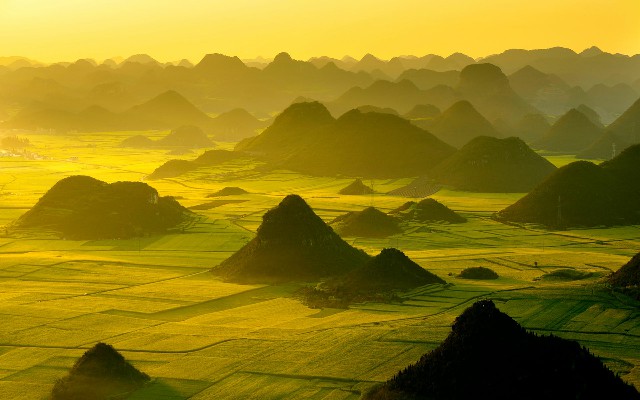 拼多多补单软件