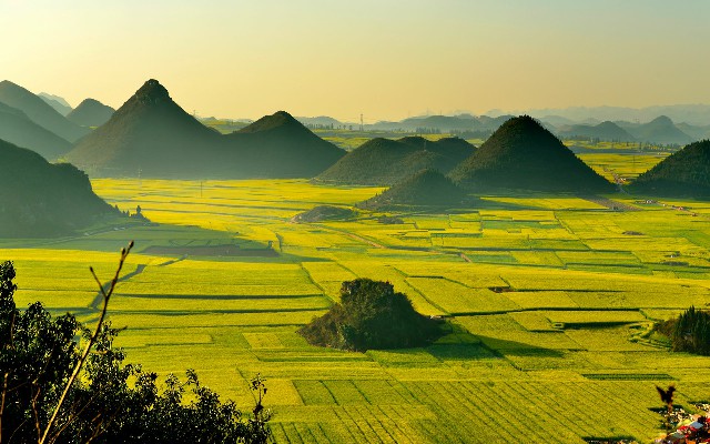 拼多多补单软件