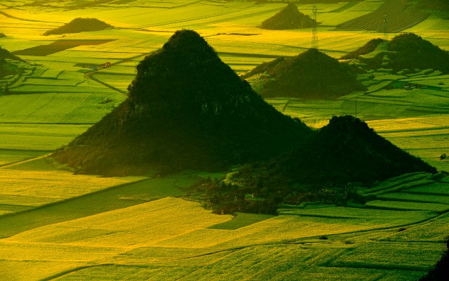 拼多多补单软件