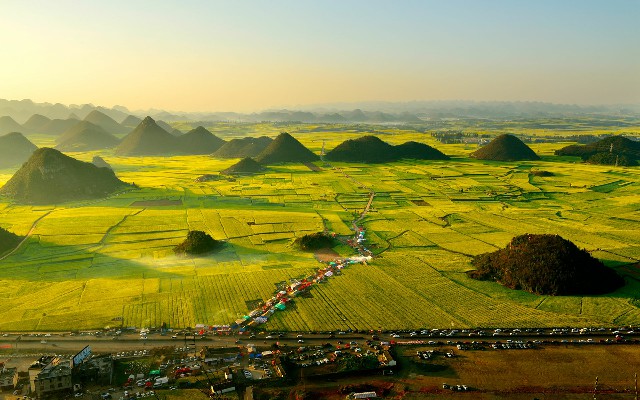 拼多多补单软件