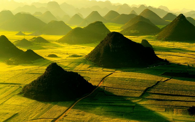 拼多多补单软件