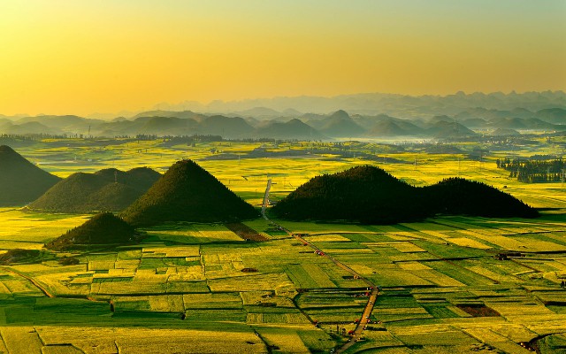 拼多多补单软件