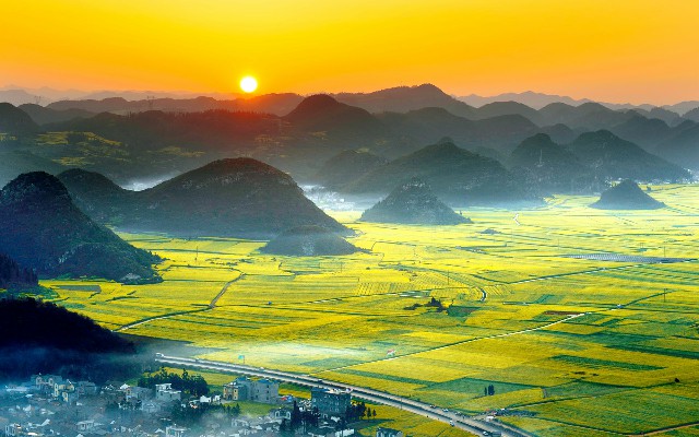 拼多多补单软件