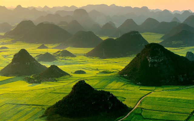 拼多多补单软件