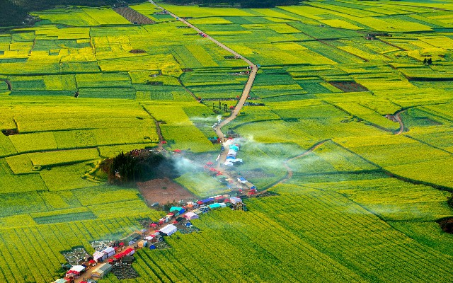 拼多多补单软件