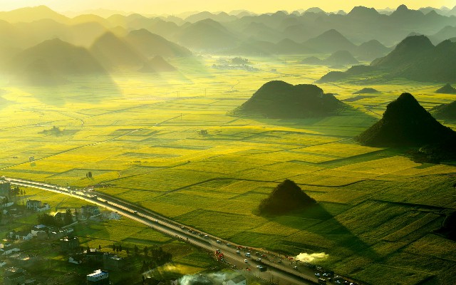 拼多多补单软件