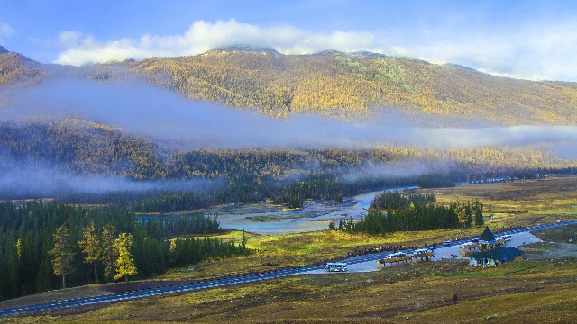 拼多多补单软件