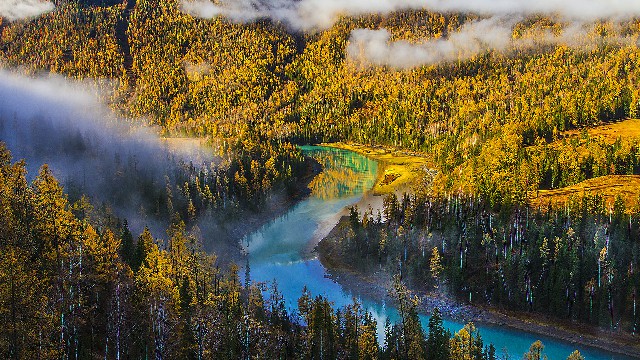 拼多多补单软件