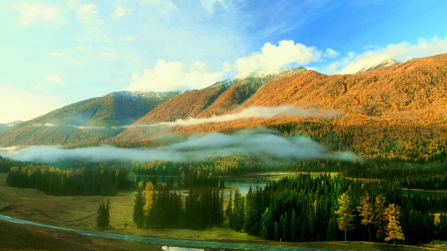 拼多多补单软件