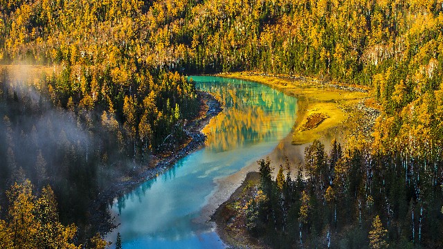 拼多多补单软件