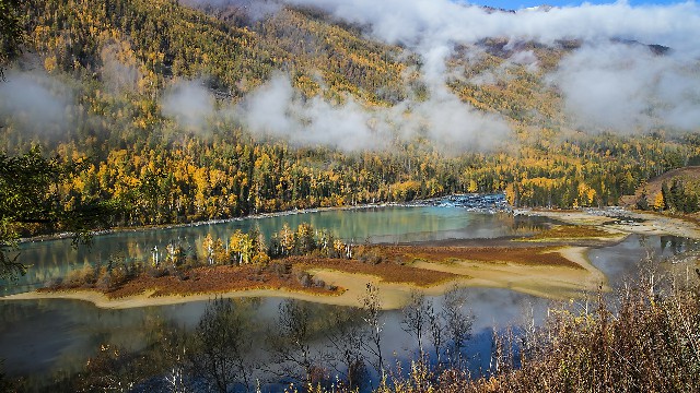 拼多多补单软件
