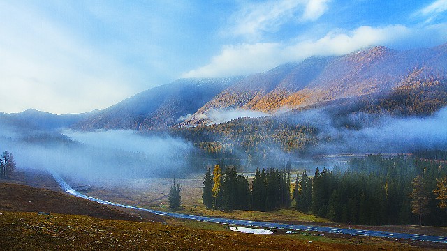 拼多多补单软件