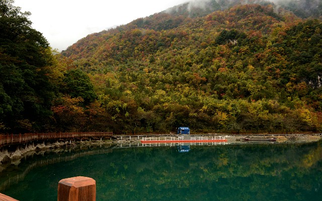 拼多多补单软件