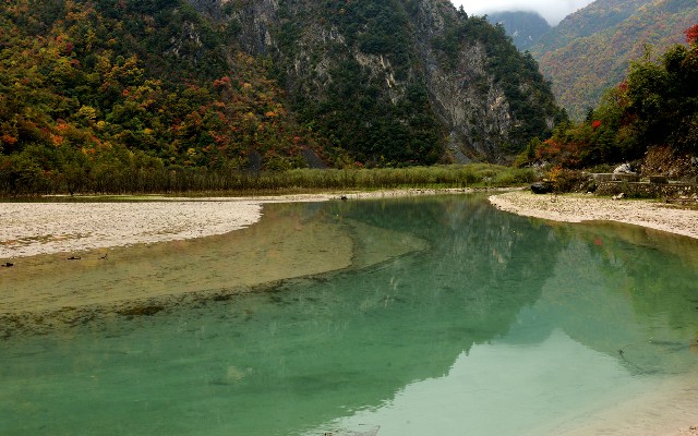 拼多多补单软件