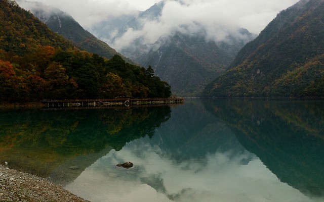 拼多多补单软件